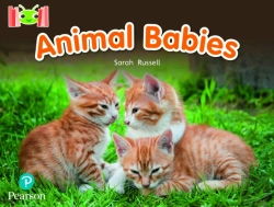 Bertrand.pt - Bug Club Reading Corner: Age 4-7: Animal Babies