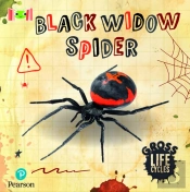 Bug Club Reading Corner: Age 5-7: Gross Lifecycles: Black Widow Spider