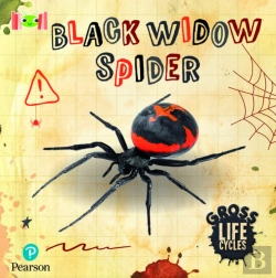 Bertrand.pt - Bug Club Reading Corner: Age 5-7: Gross Lifecycles: Black Widow Spider