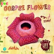 Bug Club Reading Corner: Age 5-7: Gross Lifecycles: Corpse Flower
