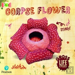 Bertrand.pt - Bug Club Reading Corner: Age 5-7: Gross Lifecycles: Corpse Flower