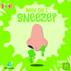 Bertrand.pt - Bug Club Reading Corner: Age 5-7: Why Do I Sneeze?