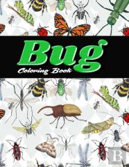 Bug Coloring Book