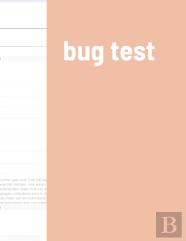 Bug Test