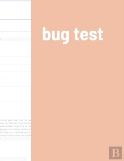 Bertrand.pt - Bug Test