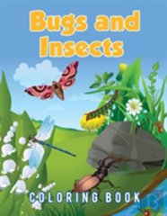 Bugs And Insects Coloring Book