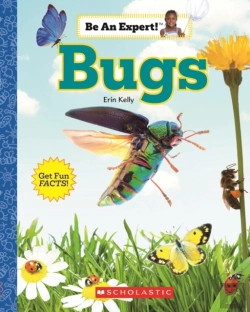 Bertrand.pt - Bugs (Be An Expert!)