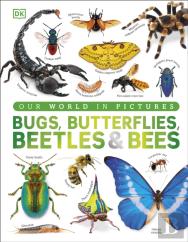 Bugs, Butterflies, Beetles And Bees