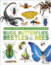 Bugs, Butterflies, Beetles And Bees