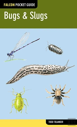 Bertrand.pt - Bugs & Slugs