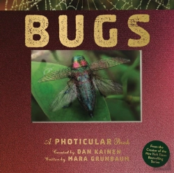 Bertrand.pt - Bugs