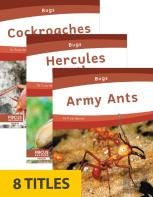 Bugs (Set Of 8)