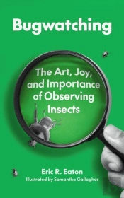 Bugwatching