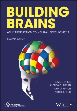 Bertrand.pt - Building Brains
