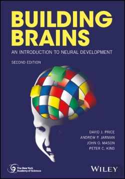 Bertrand.pt - Building Brains