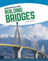 Building Bridges