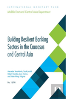 Building Resilient Banking Sectors In The Caucasus And Central Asia