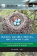 Building The Most Complex Structure On Earth