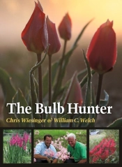 Bulb Hunter