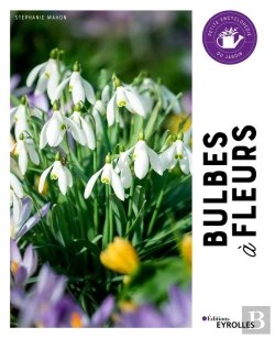 Bertrand.pt - Bulbes À Fleurs