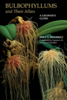 Bulbophyllums And Their Allies