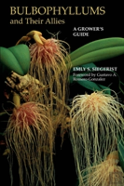 Bertrand.pt - Bulbophyllums And Their Allies