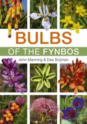 Bulbs Of The Fynbos