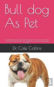 Bull Dog As Pet