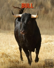 Bull