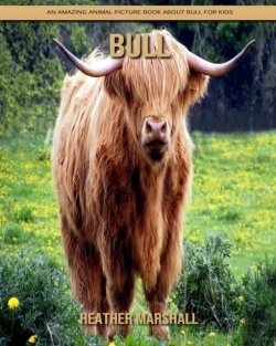 Bertrand.pt - Bull