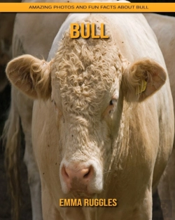 Bertrand.pt - Bull