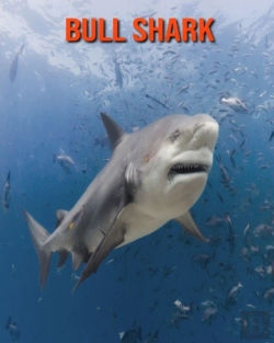 Bertrand.pt - Bull Shark