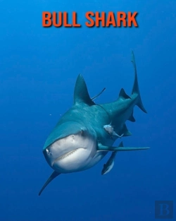 Bertrand.pt - Bull Shark