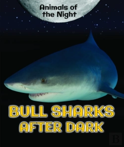 Bertrand.pt - Bull Sharks After Dark