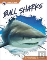 Bull Sharks