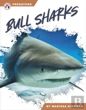 Bull Sharks