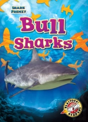 Bull Sharks