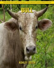 Bull