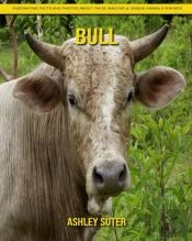 Bull