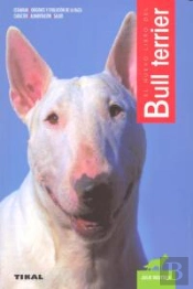 Bull Terrier