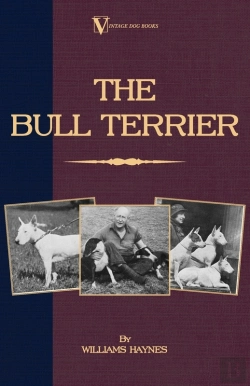 Bertrand.pt - Bull Terrier