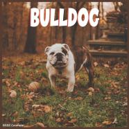 Bulldog 2022 Calendar