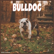Bulldog 2022 Calendar