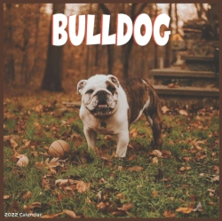 Bertrand.pt - Bulldog 2022 Calendar