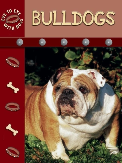 Bertrand.pt - Bulldogs