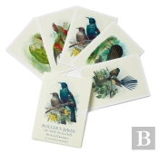 Bullers Birds Of New Zealand