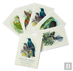 Bertrand.pt - Bullers Birds Of New Zealand