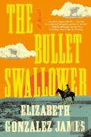 Bullet Swallower