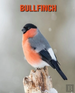 Bertrand.pt - Bullfinch