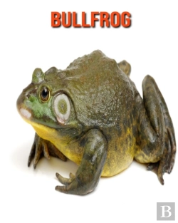 Bertrand.pt - Bullfrog
